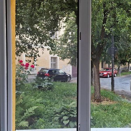 Juno Apartment Sibiu Ngoại thất bức ảnh